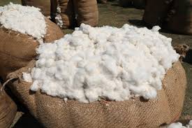 Cotton